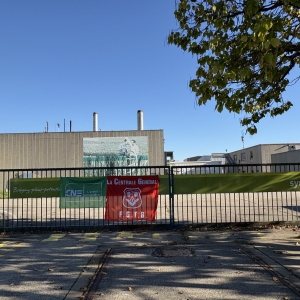 Syngenta 0210